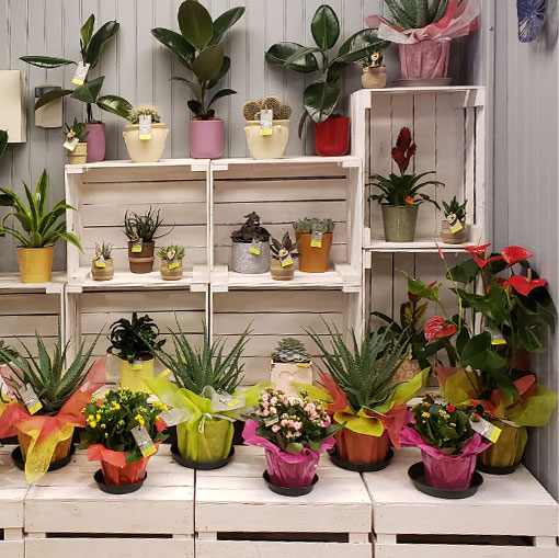 Au Jardin d’Eden